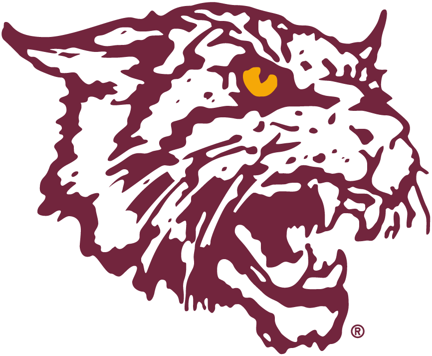 Bethune-Cookman Wildcats 2000-2015 Alternate Logo v2 diy DTF decal sticker